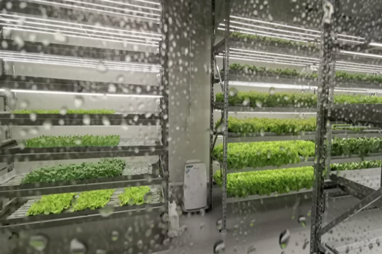 Vertical Farming: Turning deserts into fresh food hubs