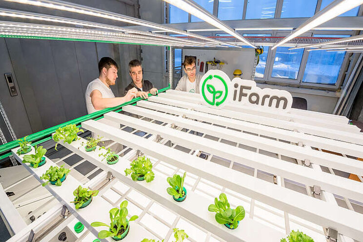 Smart Farms: Getting to the heart of the matter