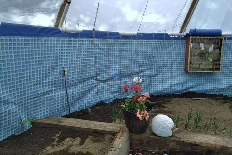 This crafty woman turned her swimming pool into a greenhouse