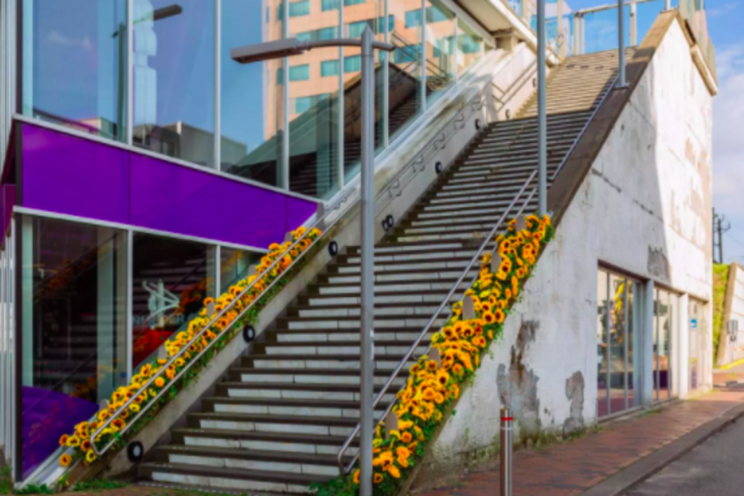 From flash mob to sunflower pop up