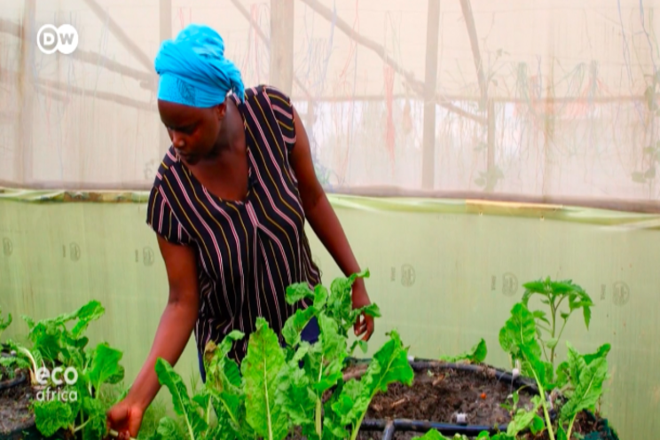 Creating spaces for vertical farming