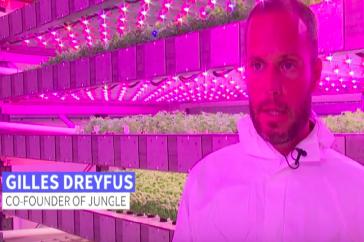 France's first 'vertical farm' sets its sights on sustainability