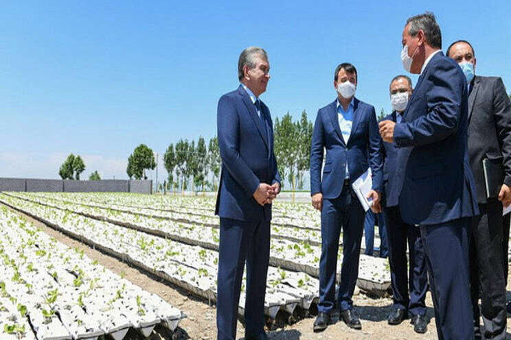 President of Uzbekistan visits an innovative greenhouse in Andijan