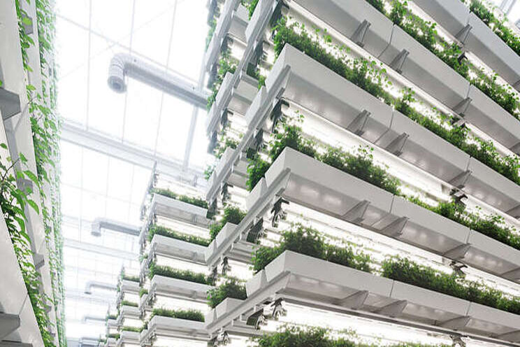 Bowery raises $300M for indoor farming