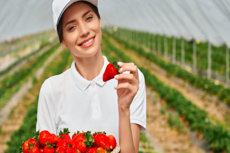 Bioactive packaging extends strawberry shelf-life