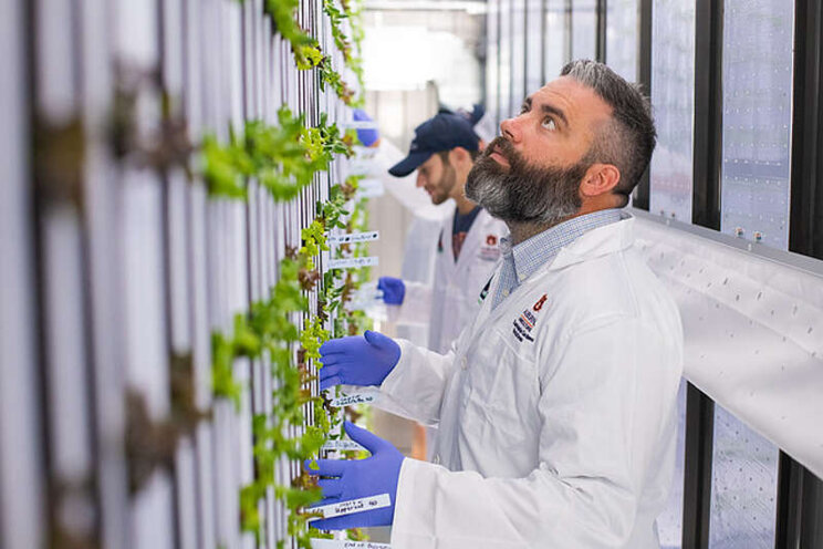 High-tech shipping containers to grow produce