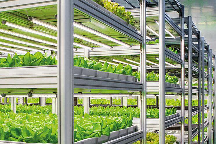 Vertical farming system market is booming worldwide 