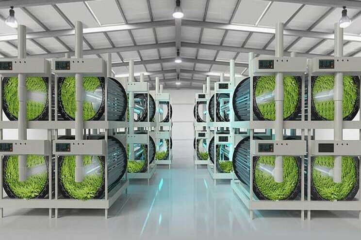 RotoGro updates market on vertical farming tech