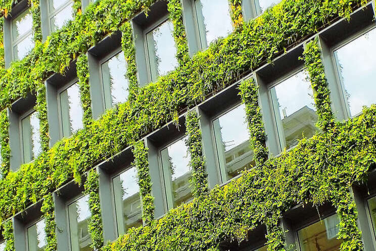 Webinar report- A convincing and inspiring case for city greening