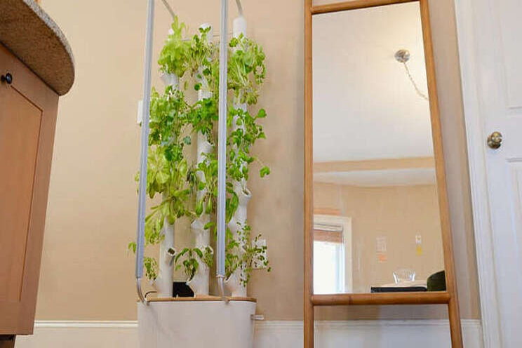 This device helps to grow veggies indoors