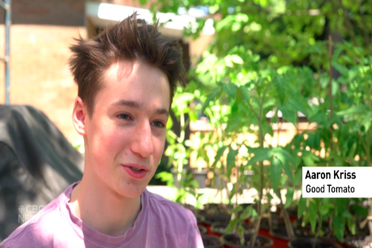 16-year-old urban farmer is growing nearly 100 tomato plants