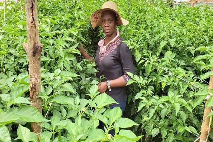 Women to use greenhouse farming to grow exotic veggies