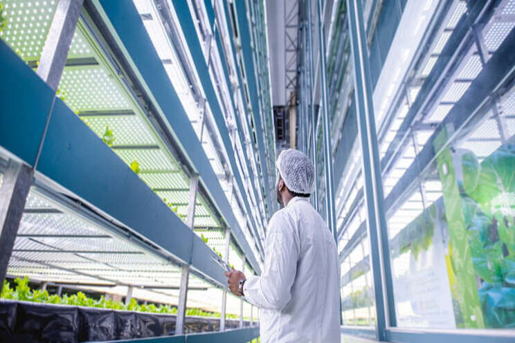 A primer on vertical farming as the industry gains steam