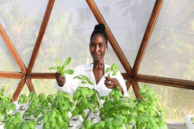 Reconnecting African communities with locally-grown food