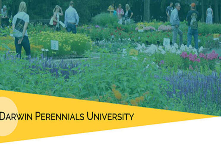 Darwin Perennials launches online training series