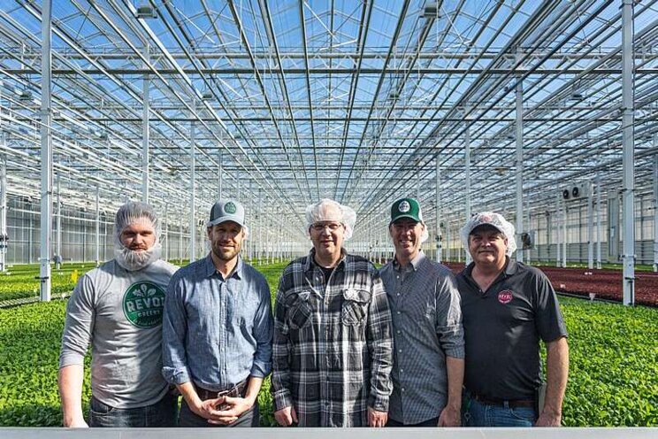 Revol Greens leads the way in lettuce innovation