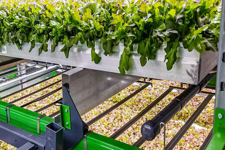 Indoor farming company Bowery raises $300M