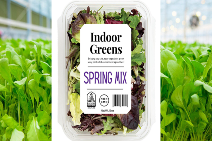 CEA Food Safety Coalition details first indoor-farming standards