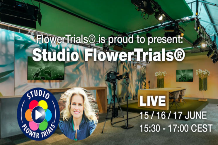 FlowerTrials launches 'Studio FlowerTrials'