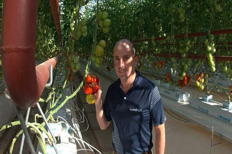 Solar power to bring tomatoes to the desert