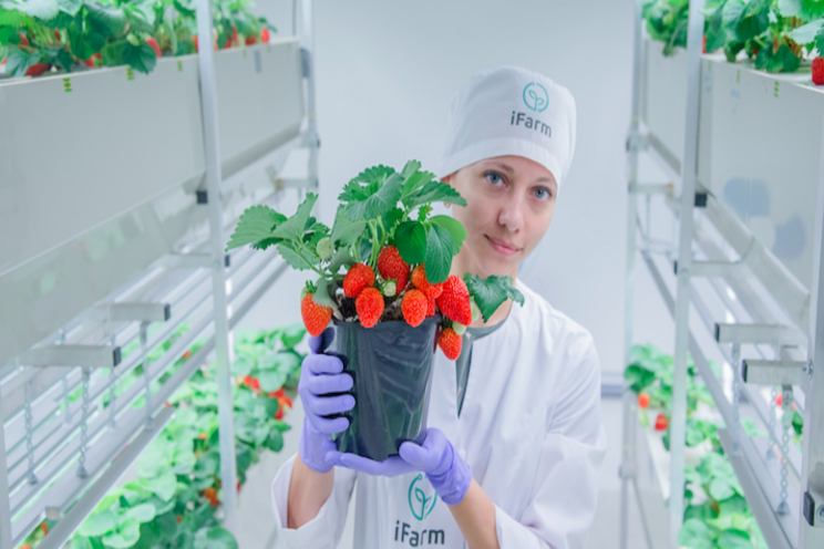 Next generation of sustainable vertical farming in Qatar 