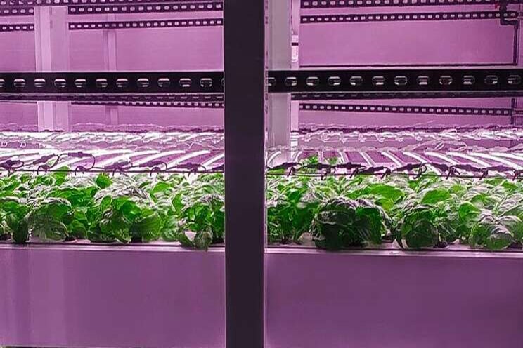 The collaboration on vertical farming initiative