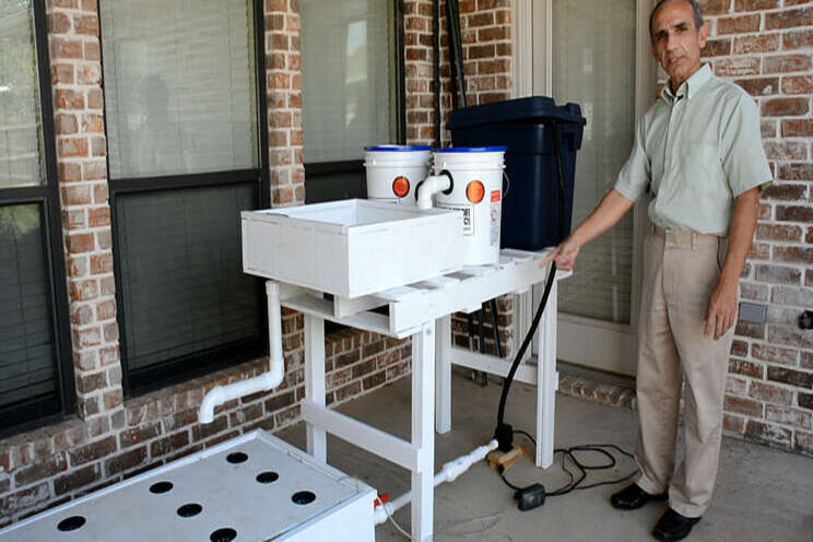 Aquaponics for Beginners course now available online