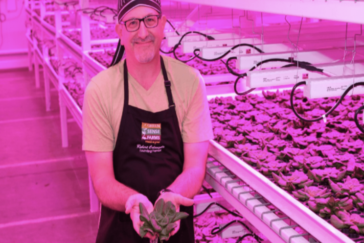 Investing in indoor vertical farming