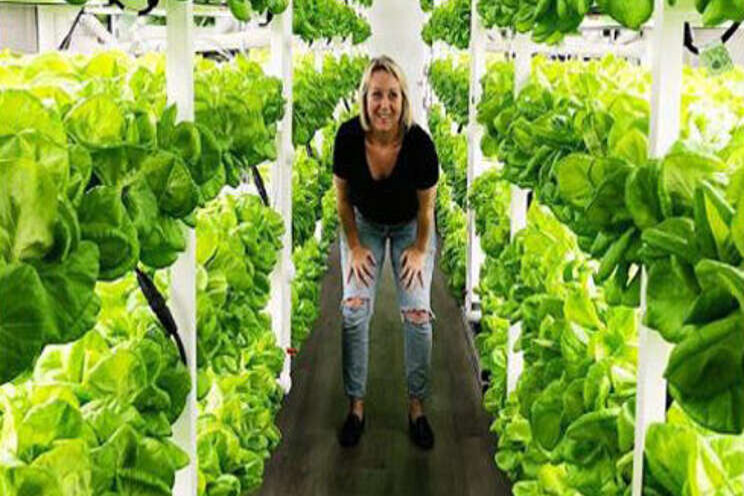 Three ways to maximize a vertical farm's potential