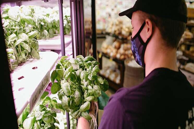 Sobeys expanding in-store vertical farms