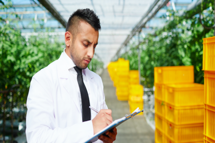 Control of root-rot disease in greenhouse trials