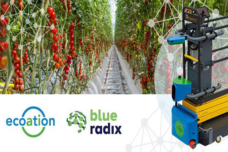 Blue Radix & ecoation create Autonomous Find & Fix Solution