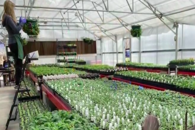 Greenhouse dedicated to growing opportunities for others