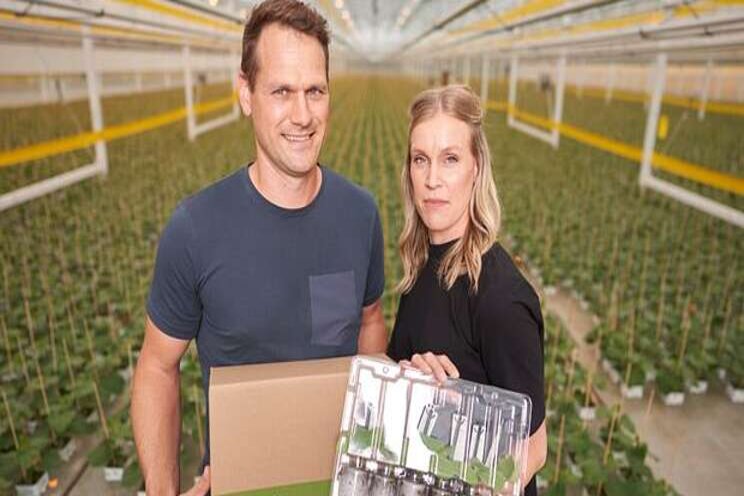 Tech leads greenhouse farm's growth