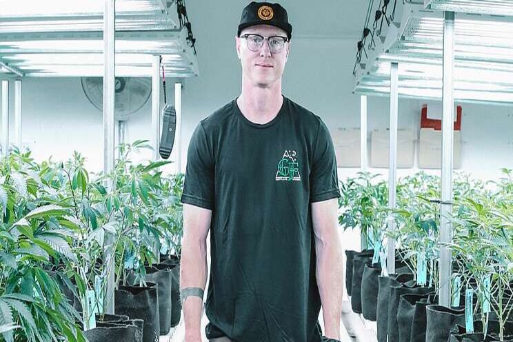 New GoodHemp varieties earn quality certification