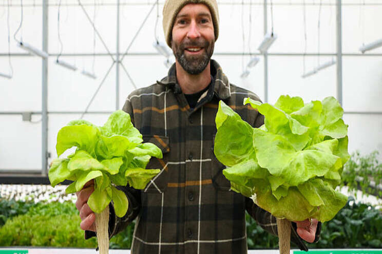 How LED lighting from Current is feeding thousands in Texas