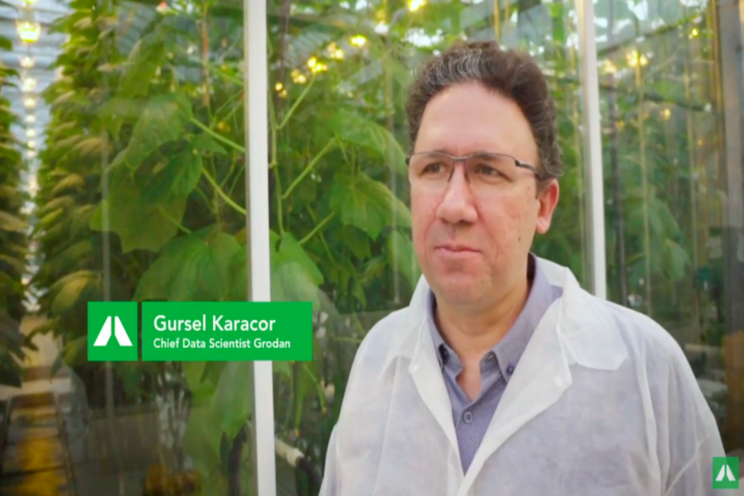 Greenhouse innovations all growers should know about