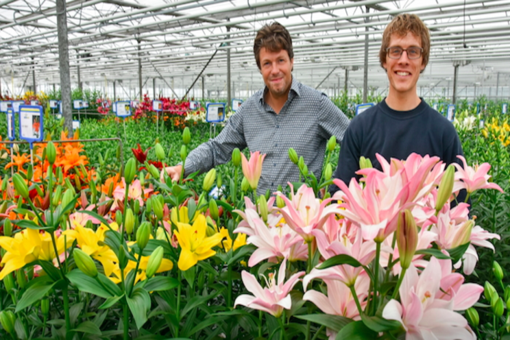 Tenth Dutch Lily Days postponed to 2022