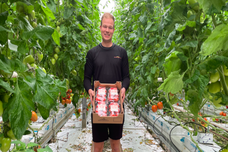 Phytorich Powerful Tomatoes available at DEEN supermarkets