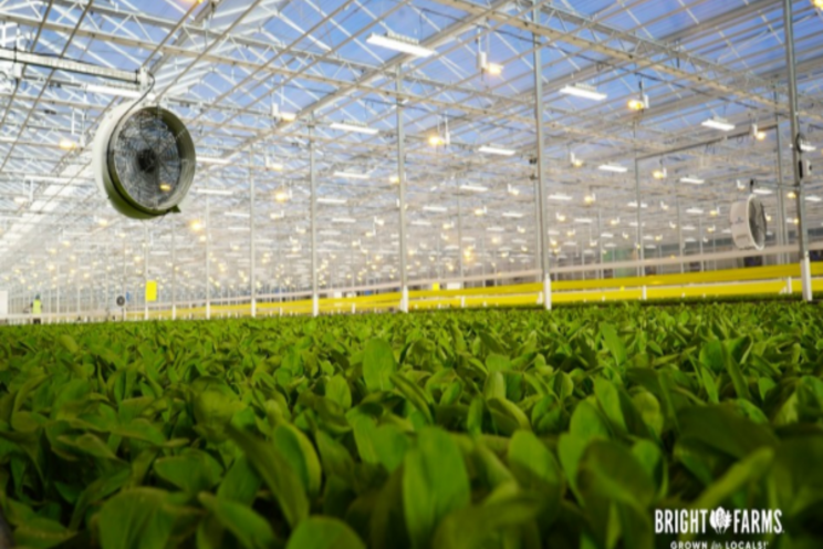 North Carolina high-tech greenhouse opened