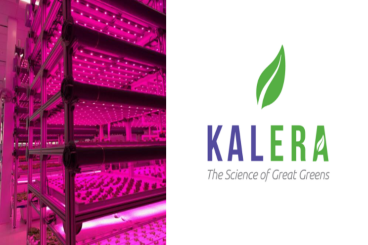 Kalera harvests first lettuce from Atlanta vertical farm