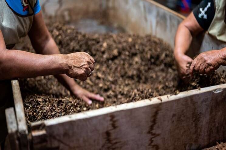 What is compost?