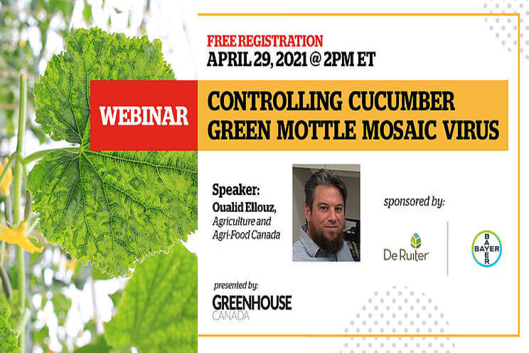 WEBINAR| Controlling cucumber green mottle mosaic virus