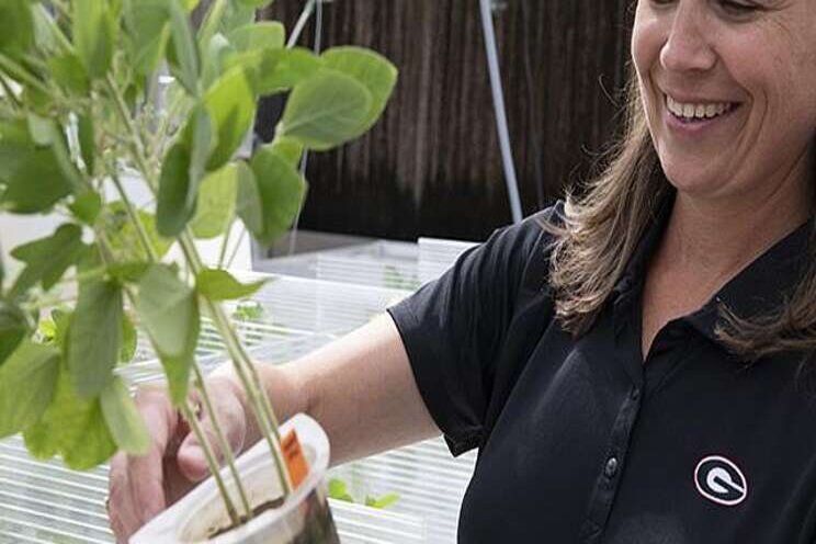 This farm grows nematodes