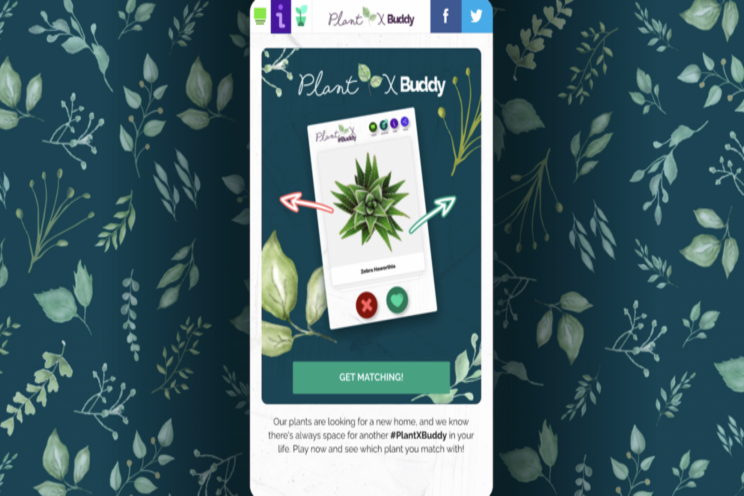 Online retailer launches plant-matching app