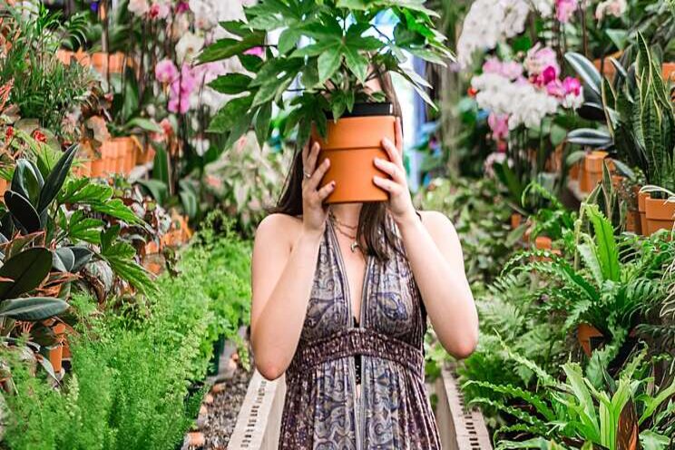 Why the houseplant industry is booming during COVID-19