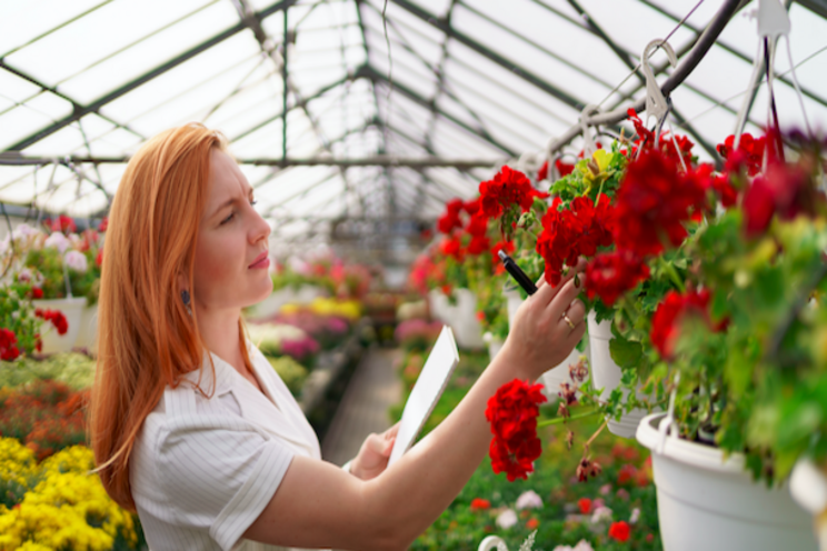 Use data to sustainably scale your greenhouse production