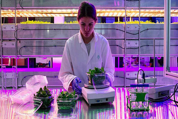 Vertical farm to launch in East Midlands