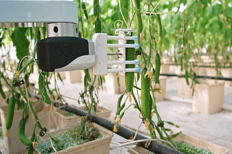 AppHarvest buys ag-robotics firm, Root AI