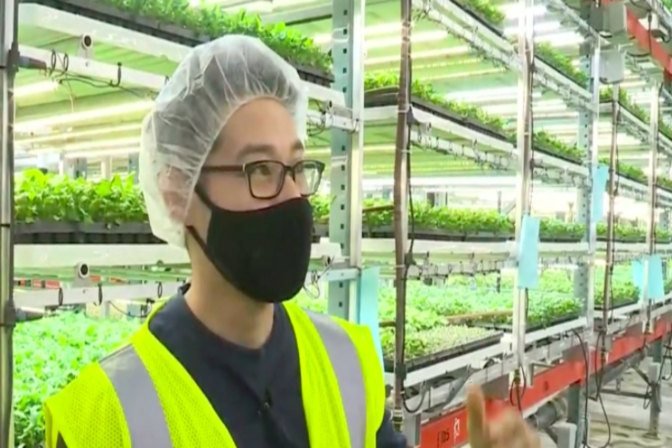 Kohr Explores: Vertical farming at Forward Greens